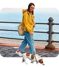 Person walking a small dog along a pier